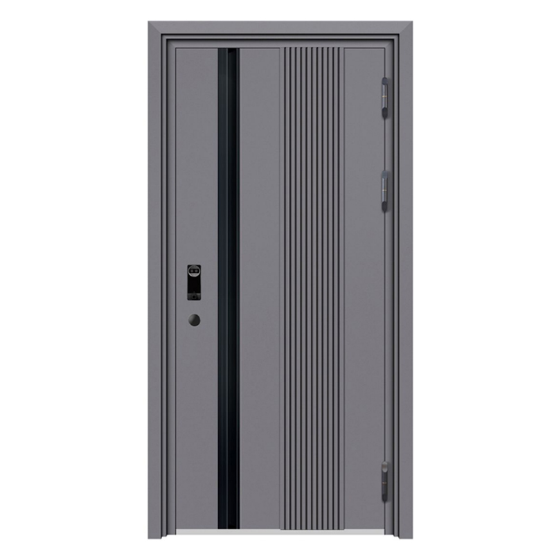 Space Gray Anti-Theft Modern Stainless Steel Entry Doors