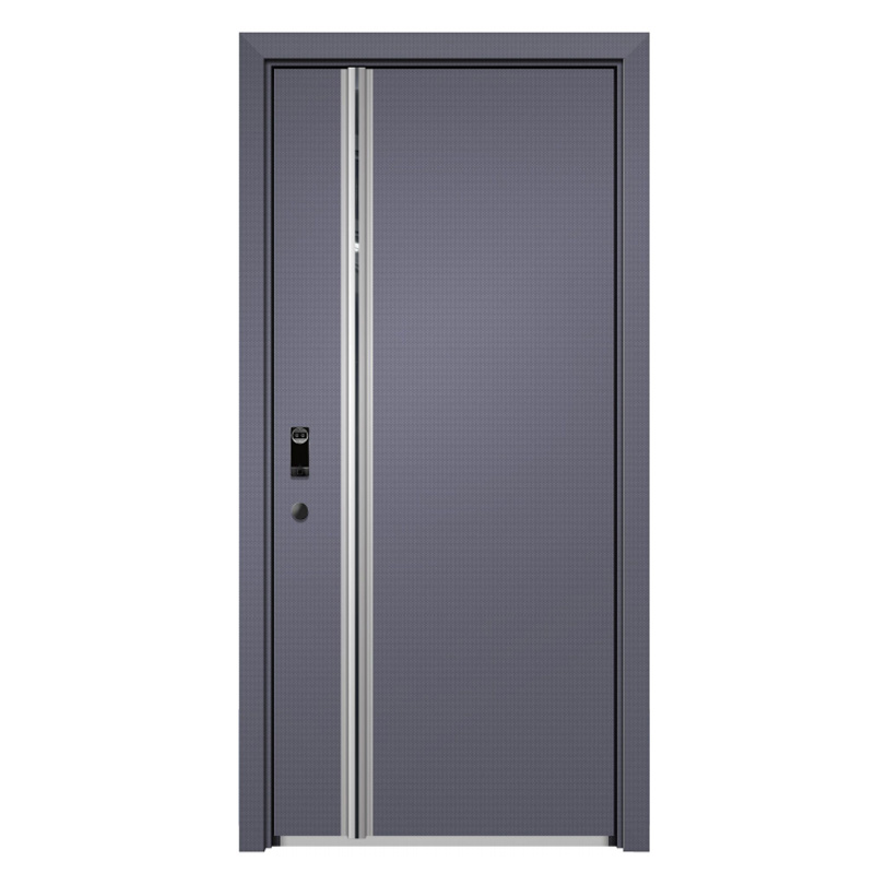 Customizable Modern 304 Stainless Entry Door