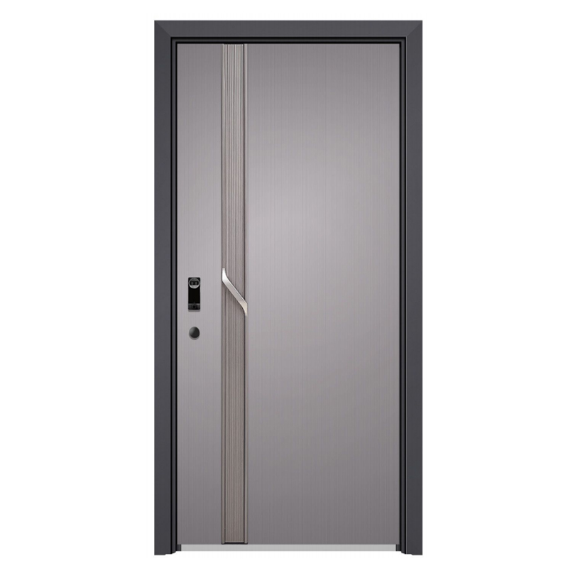 Customizable Modern 304 Stainless Entry Door