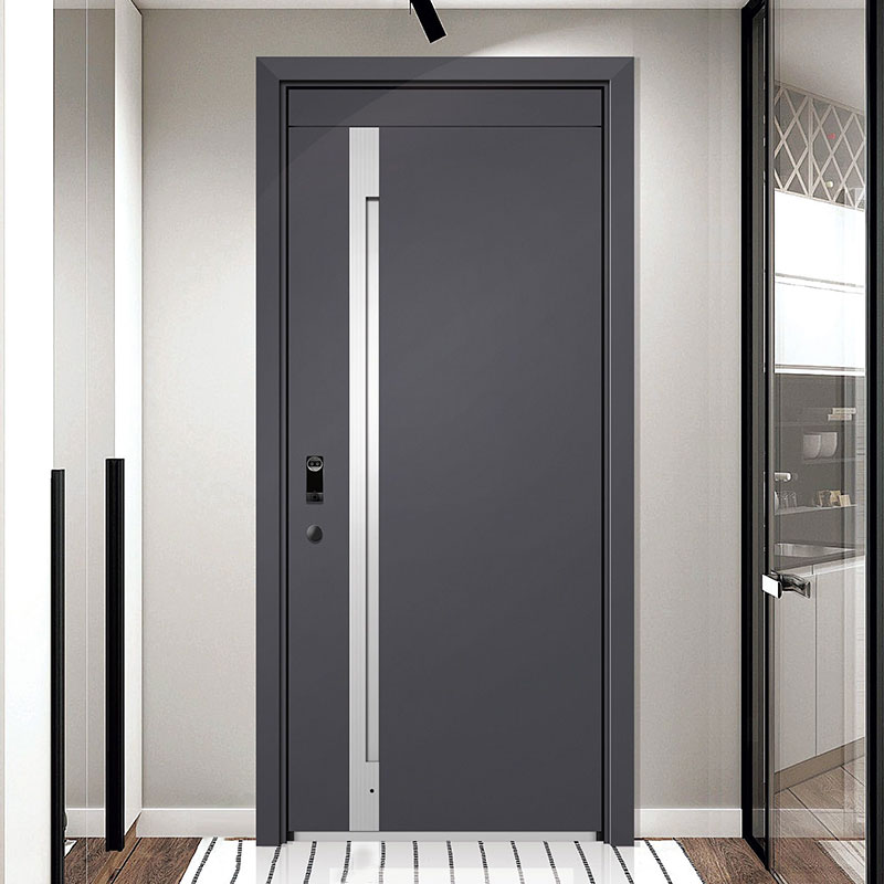 Customizable Modern 304 Stainless Entry Door