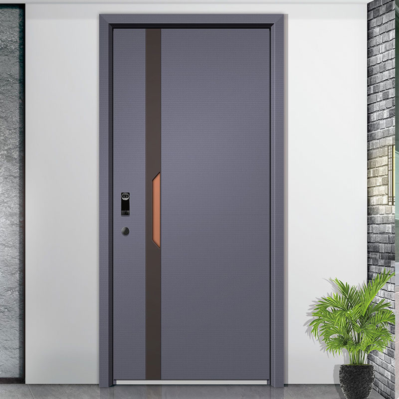 Customizable Modern 304 Stainless Entry Door