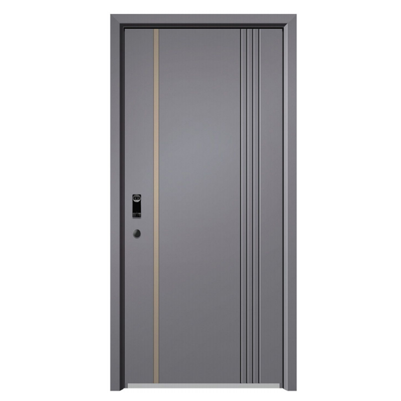 Stainless Steel Main Entrance Door
