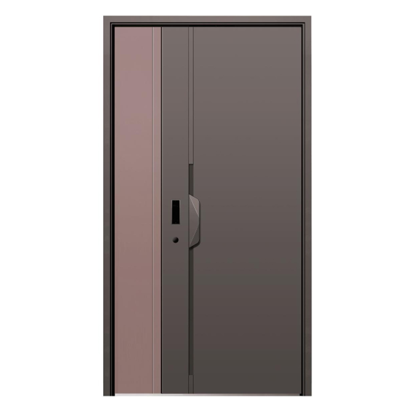Corrosion Resistant Custom Steel Exterior Front Door