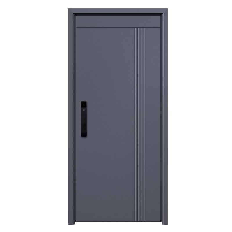 Stainless Steel Residential Security Front Doors