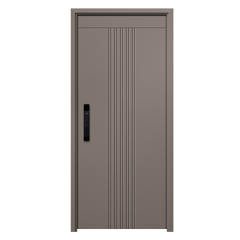High Security Stainless Steel Doors for Homes