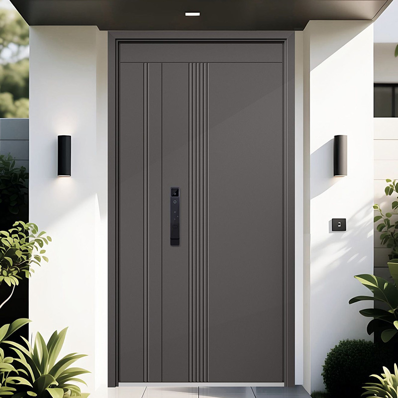 Anti-Theft Stainless Steel Modern Main Door