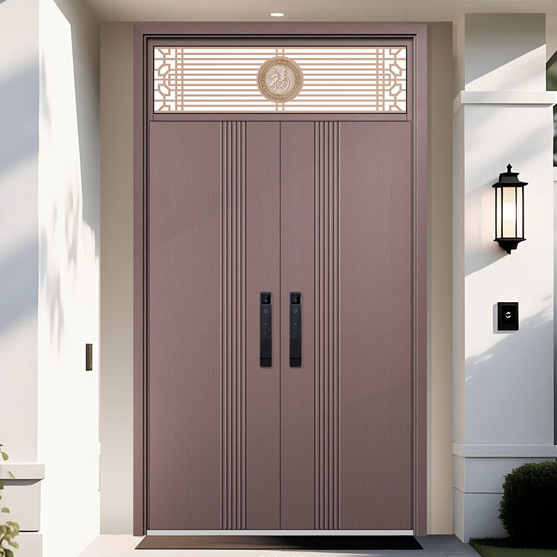 Anti-Theft Stainless Steel Modern Main Door