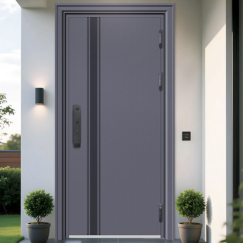 Stainless Steel Entry Door