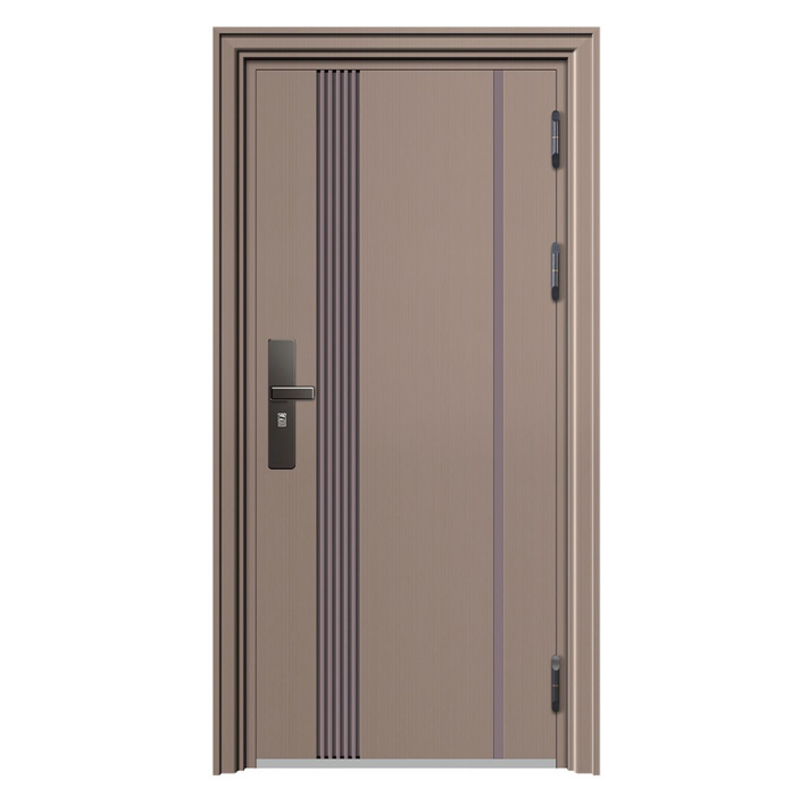 Stainless Steel Entrance Door