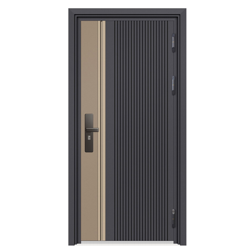 Stainless Steel Front Doors for Homes Stainless Steel Front Doors for Homes