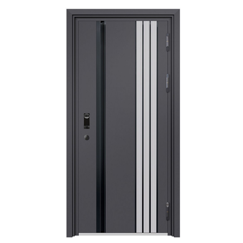 Modern Front Entry Doors