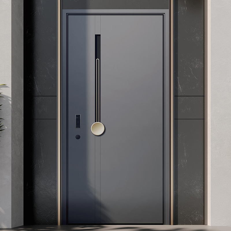 Steel Security Front Door