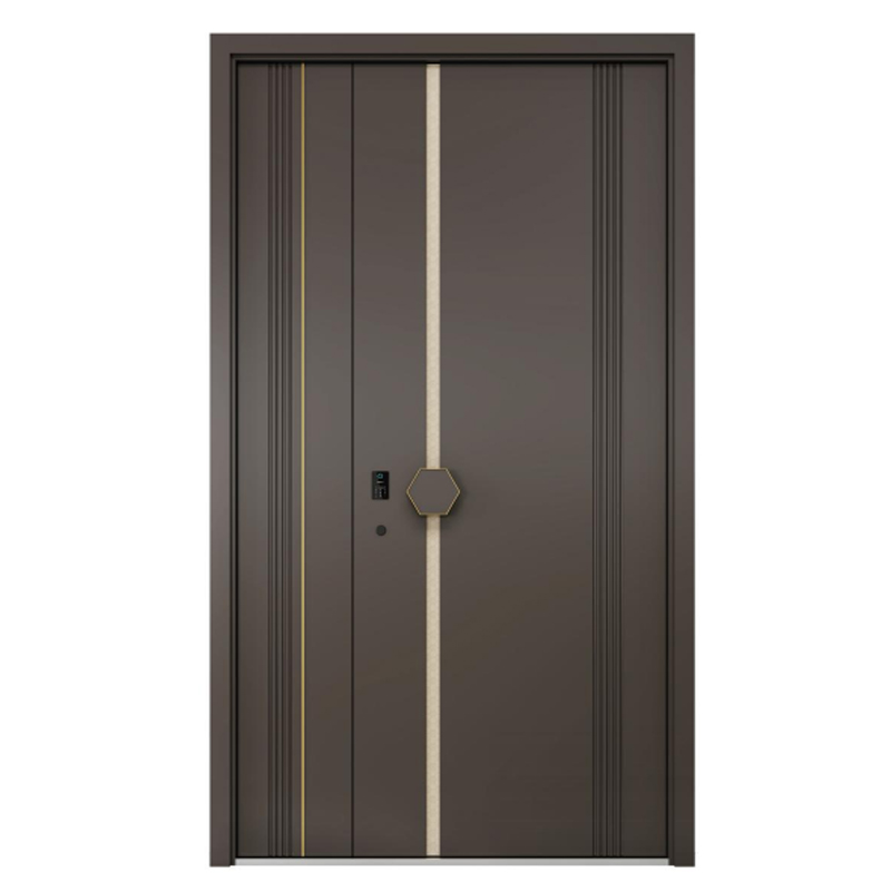 Custom Steel Front Door