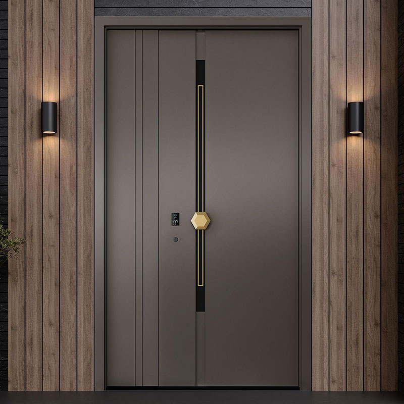 Main Entrance Steel Door