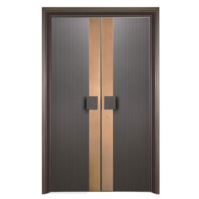 Luxury Modern Front Doors
