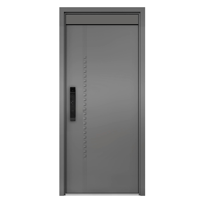 Stainless Steel Security Door